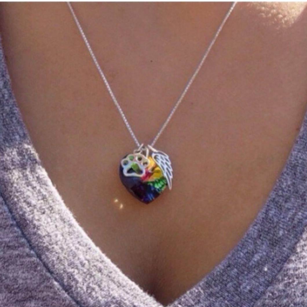 Rainbow Bridge Pet Loss Necklace